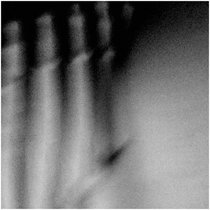 Elterigitaj cover art