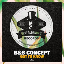 B&S Concept - Got To Know cover art