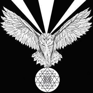 White Owl cover