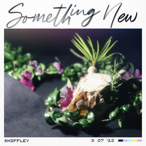 Something New cover