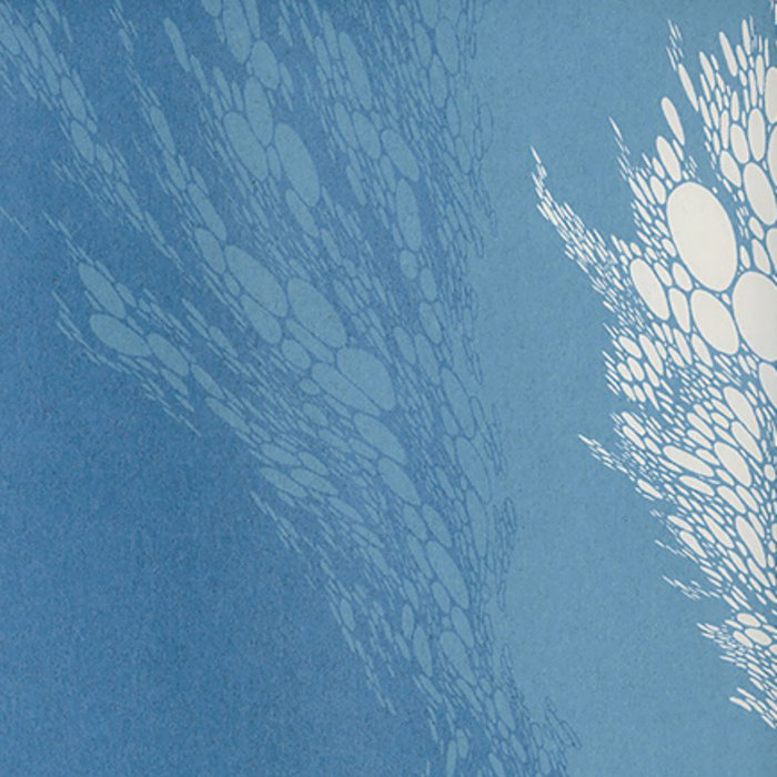 Boris - Rickshaw Stop, SF - 5/22/13 | Boris | ME AND MY FRIENDS