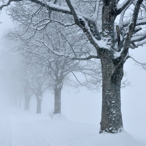 November, First Snow cover