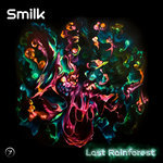 The Last Rainforest
