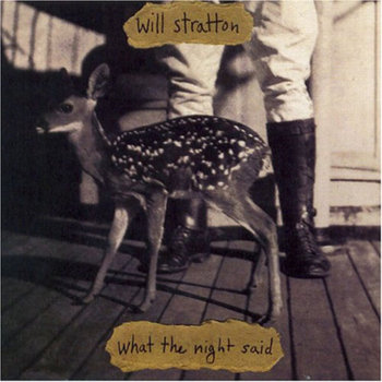 Will Stratton What The Night Said | Will Stratton
