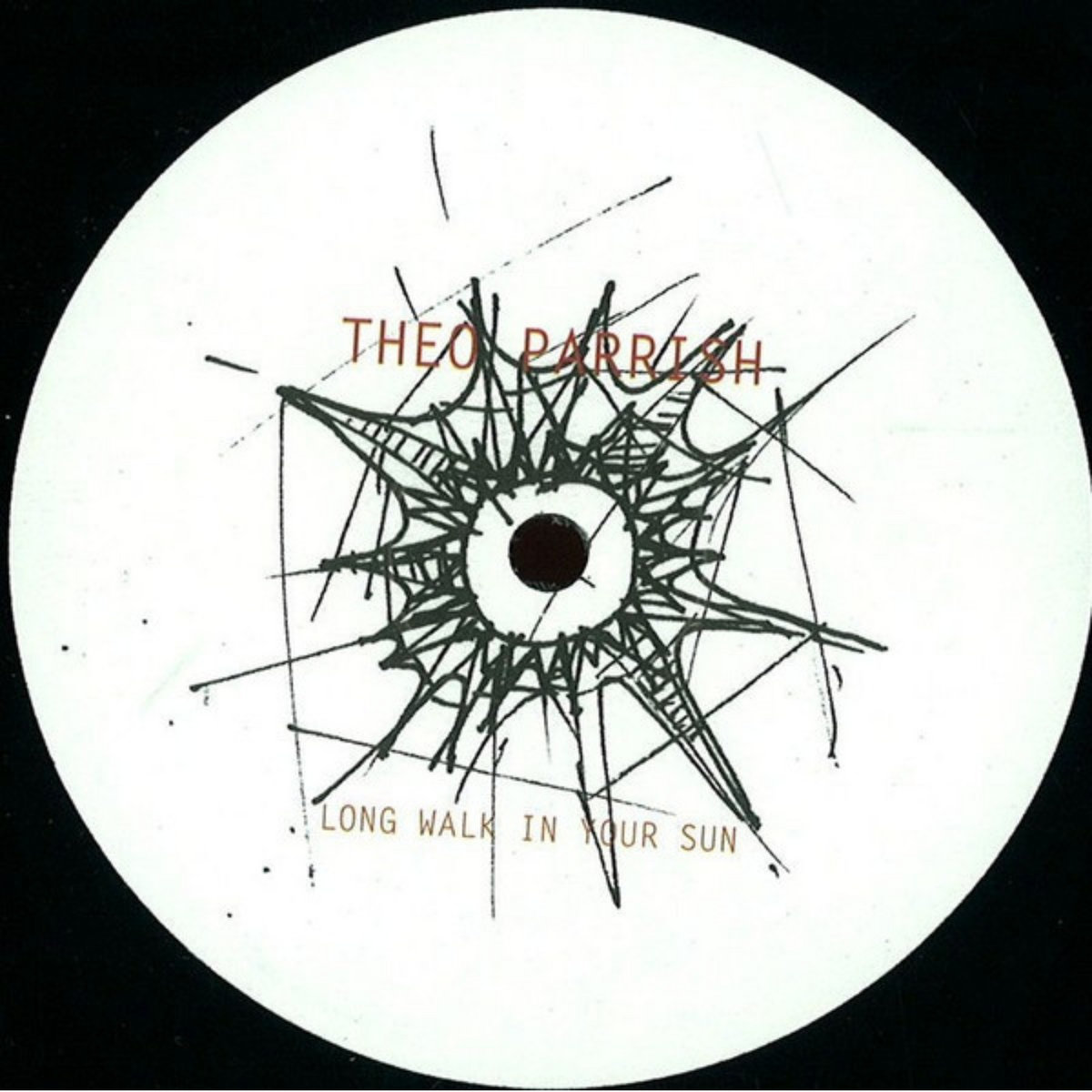 Long Walk In Your Sun | Theo Parrish | Sound Signature