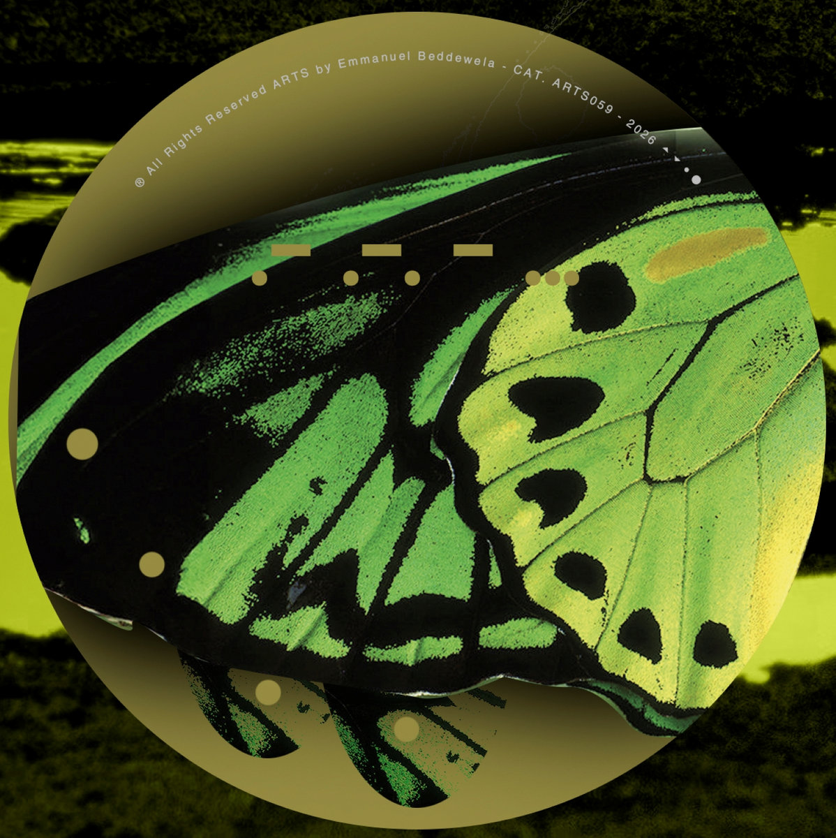 XXIII | G-23 | ARTS