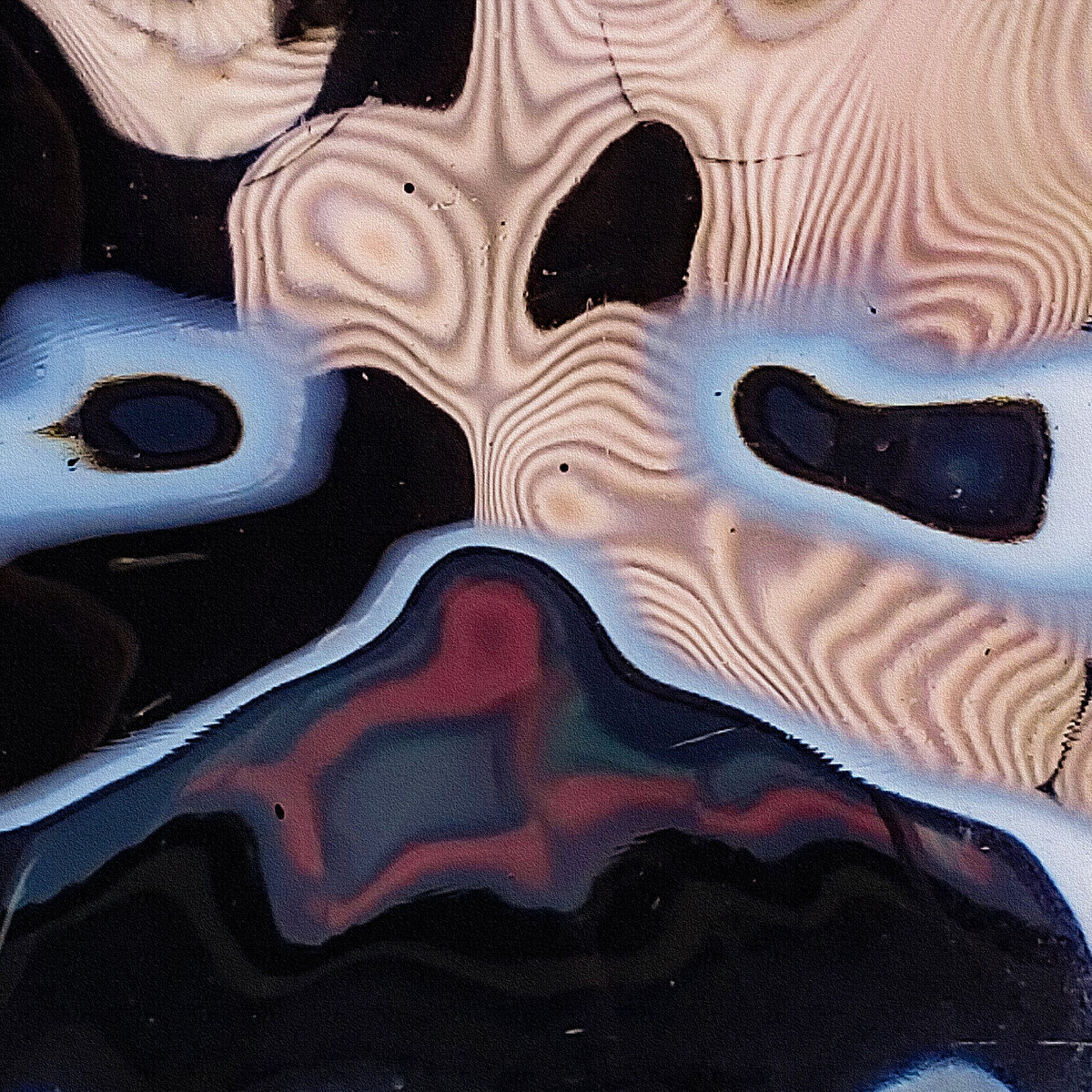 Coral cover