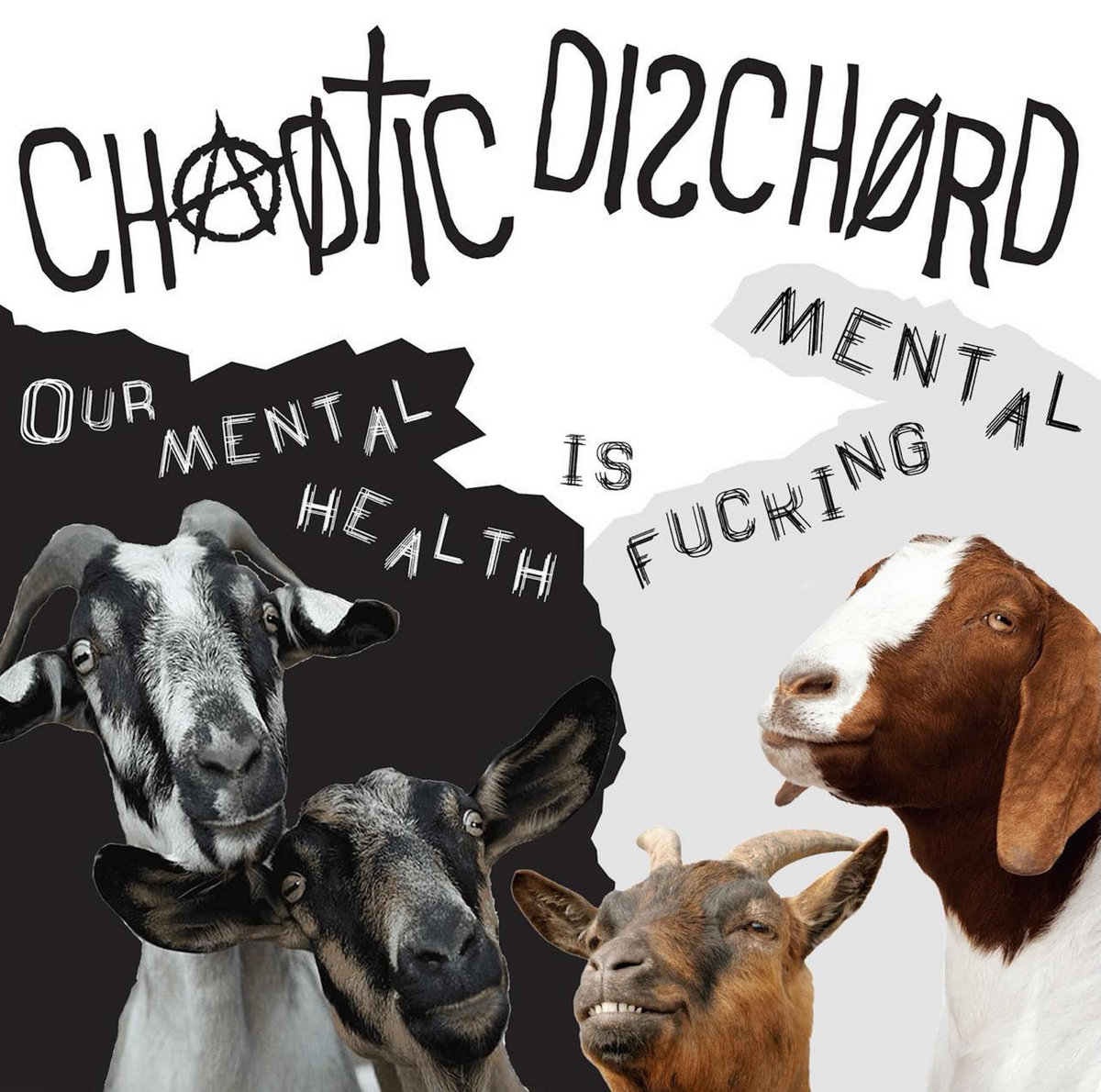 Idles Ain t A Punk Band Chaotic Dischord idles-ain-t-a-punk-band-chaotic-dischord