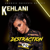 Distraction (Revisit) cover art