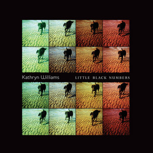 Little Black Numbers cover