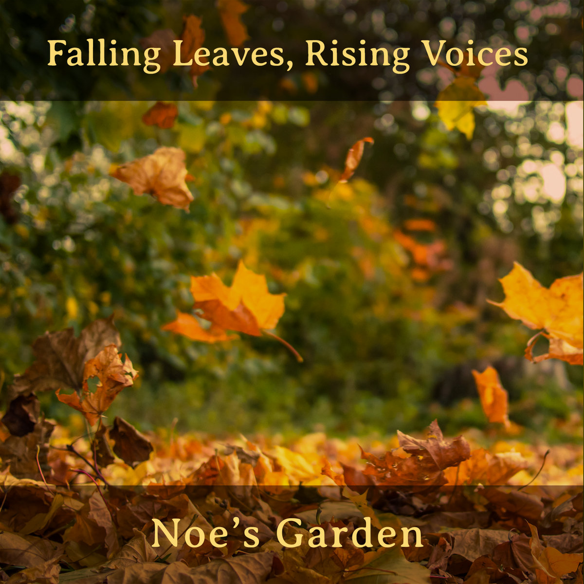 Falling Leaves Rising Voices Noe S Garden Falling Leaves Rising Voices Noe S Garden