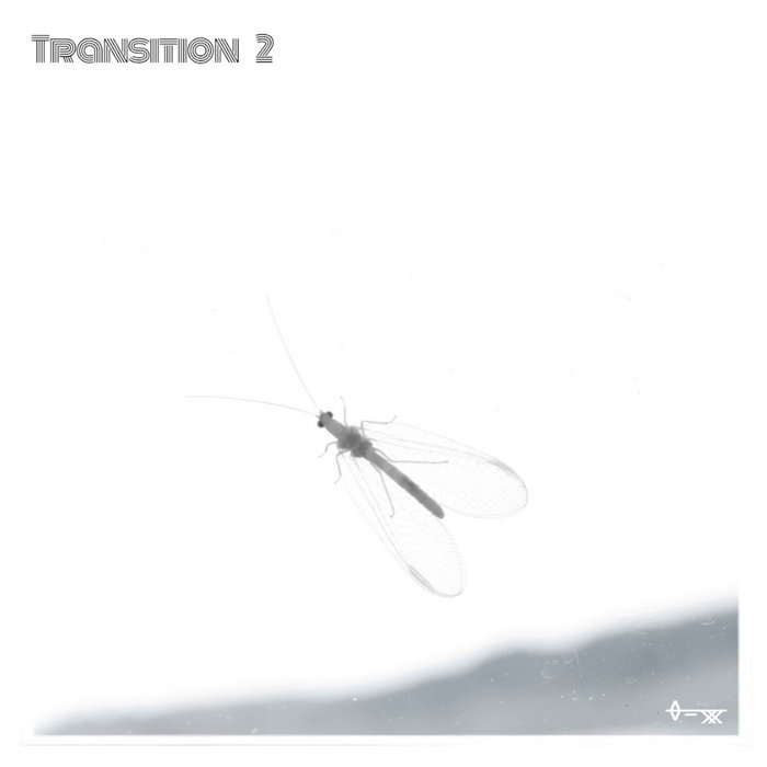 Transition Ii Bristleconepine