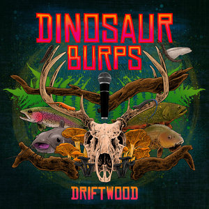 Driftwood (CBS Remix) cover