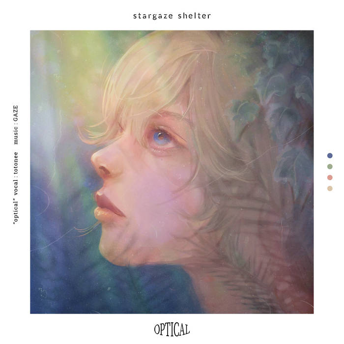 stargaze shelter　CD音源　スターゲイズシェルター オプティカル | stargaze shelter
