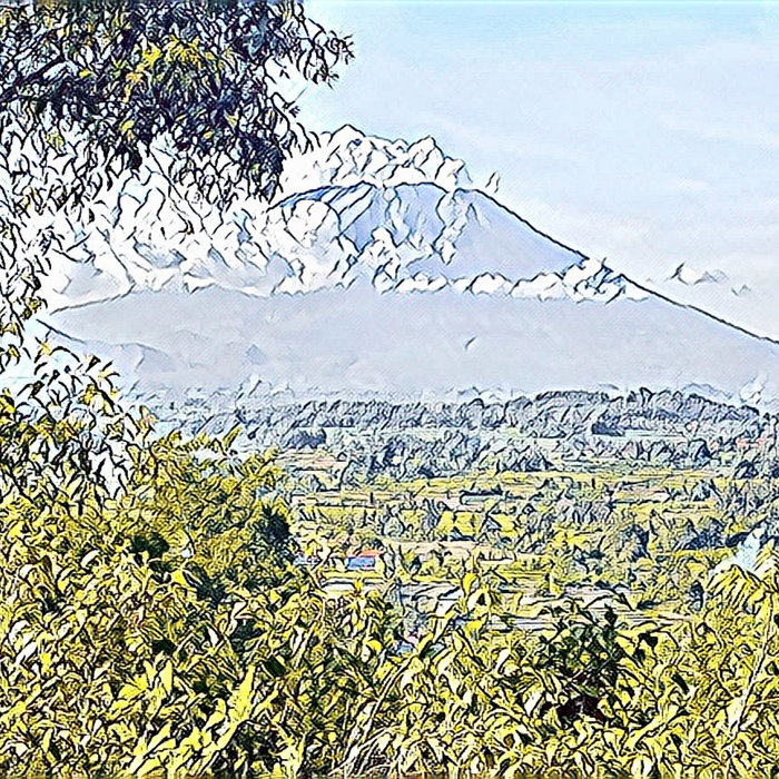 Sketches Of Time and Timbre for the Shakuhachi Flute Sakari Heikka