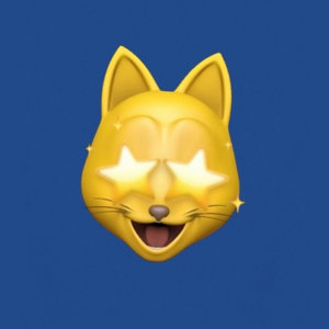 AMADEUS FEELZ — LIFE OF CAT. (DELUXE)