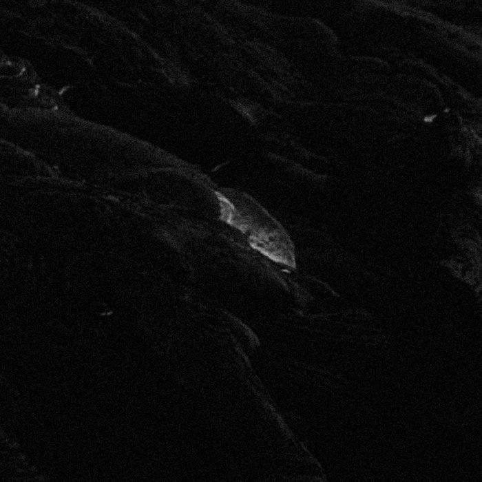 SACRED GROUNDS Various Artists III LARMES