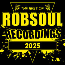 Robsoul Recordings — Various Artists - Best Of 2025