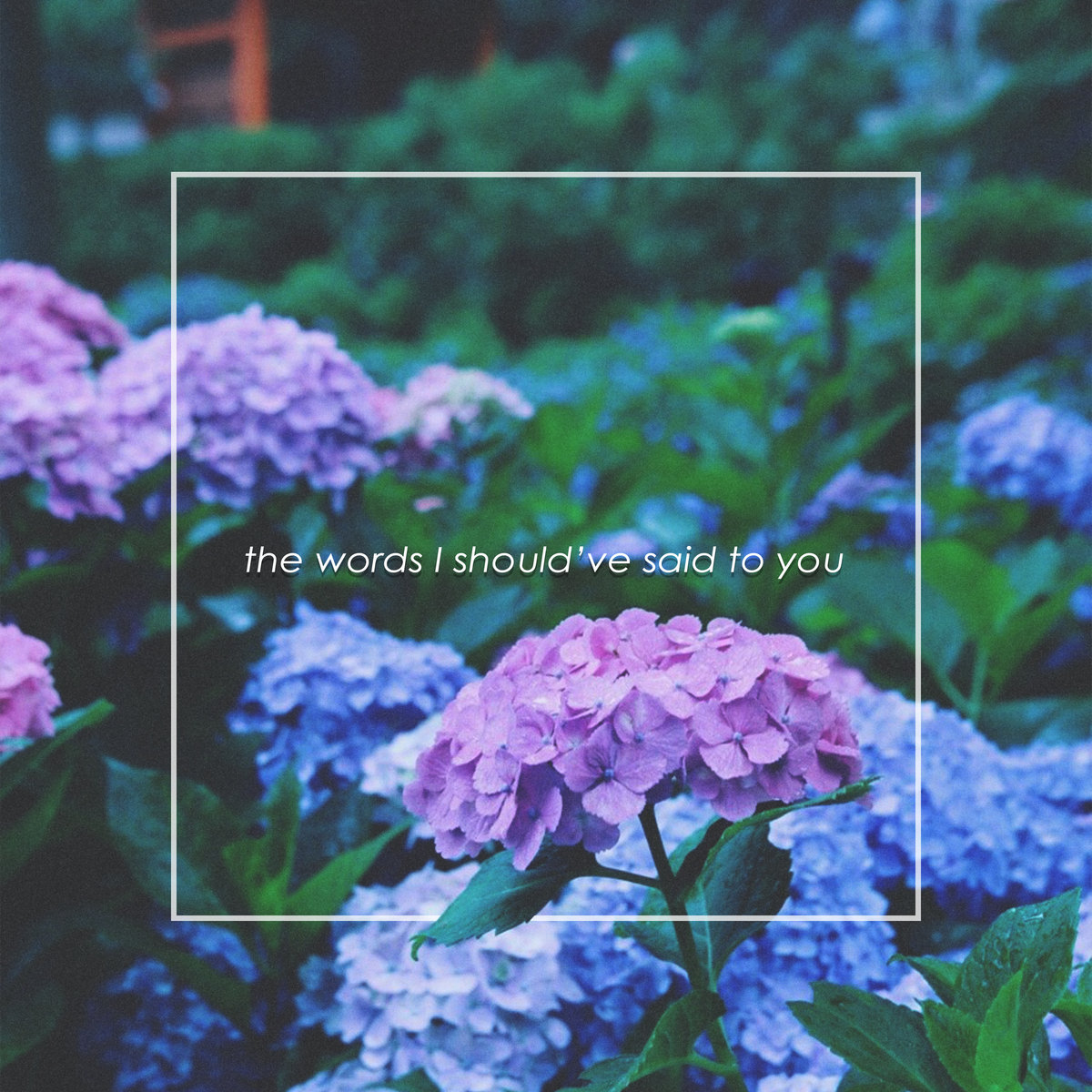 Demxntia The Words I Should Ve Said Lyrics