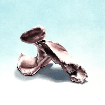 Summer Soul（Single） | cero