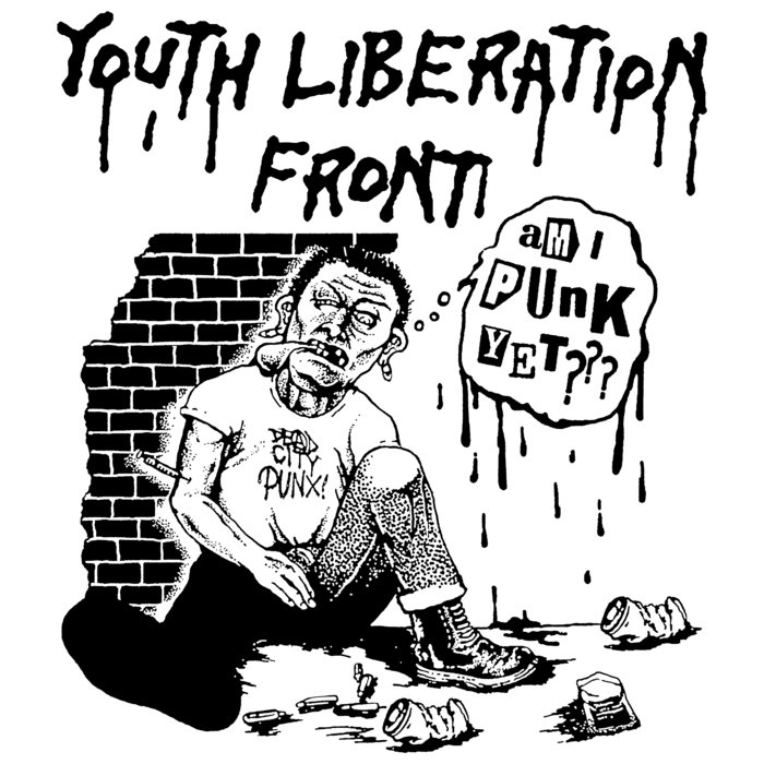 Pochette de Youth Liberation Front 'Am I Punk Yet?' par Youth Liberation Front