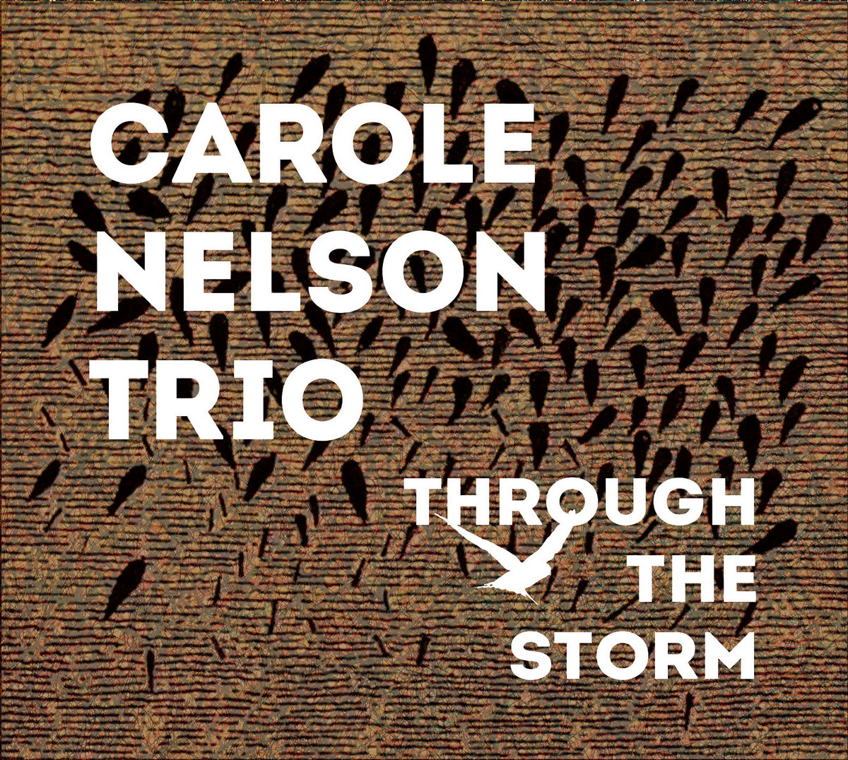 THROUGH THE STORM cover