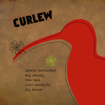 Curlew cover art