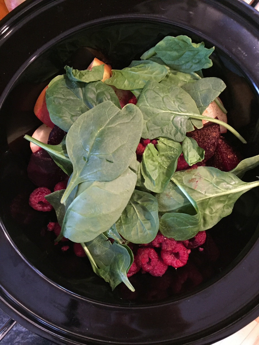 Carrot Mania Free Download Pc Karolfatyn