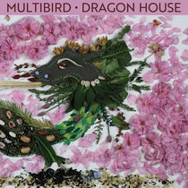 Dragon House cover art