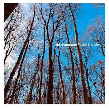 Album artwork for quiet branches