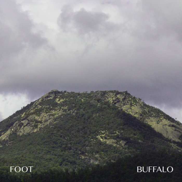 Buffalo, by Foot