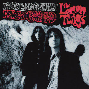 The Lemon Twigs — I've Got A Broken Heart