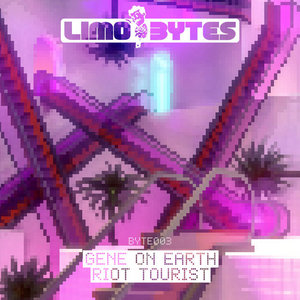 Riot Tourist cover