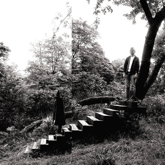 Timber Timbre | Timber Timbre