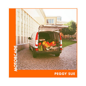 Motorcade cover