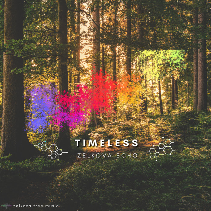 TIMELESS | zelkova echo | ZELKOVA TREE MUSIC