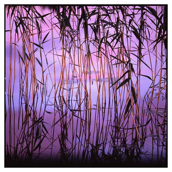 Tronzo TrioRoots Tronzo Trio David Tronzo