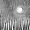 The Grimmrobe Demos // extended