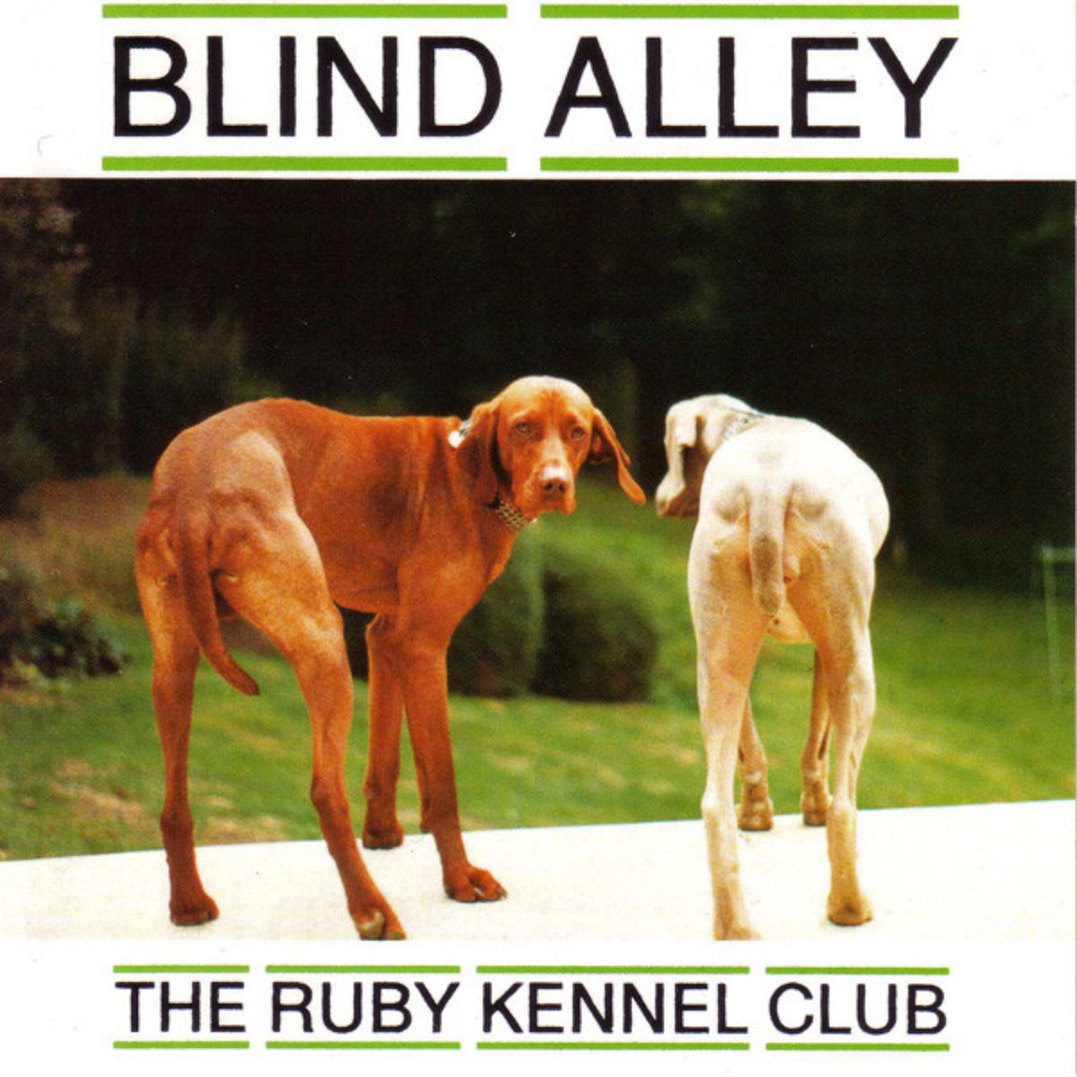 【中古】 Ruby Kennel Club BlindAlley 中古】 Ruby Kennel Club BlindAlley Dog Kennels - Backyard