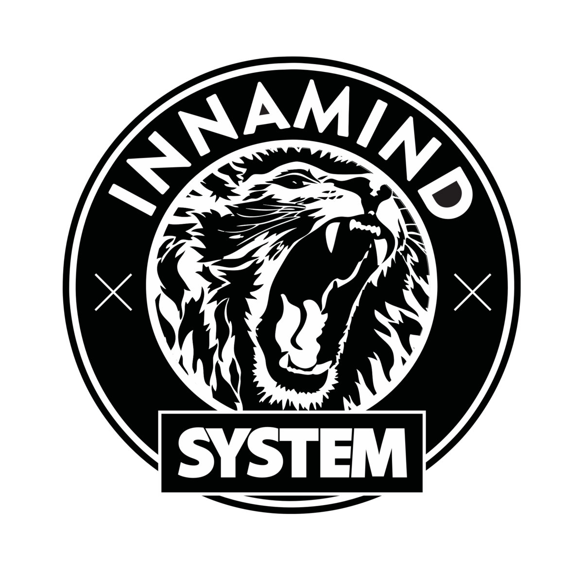 英2x12” Various Innasystm001 (12” X 2) INNASYSTM001 Innasystm /00538 0030251330_10.jpg