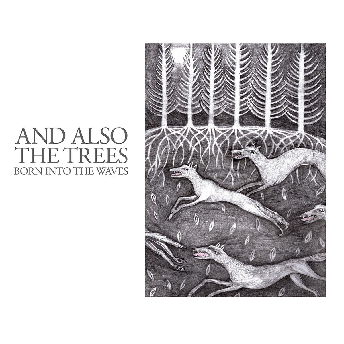Born into the waves | And Also The Trees