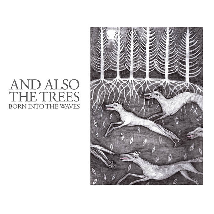 Born into the waves | And Also The Trees