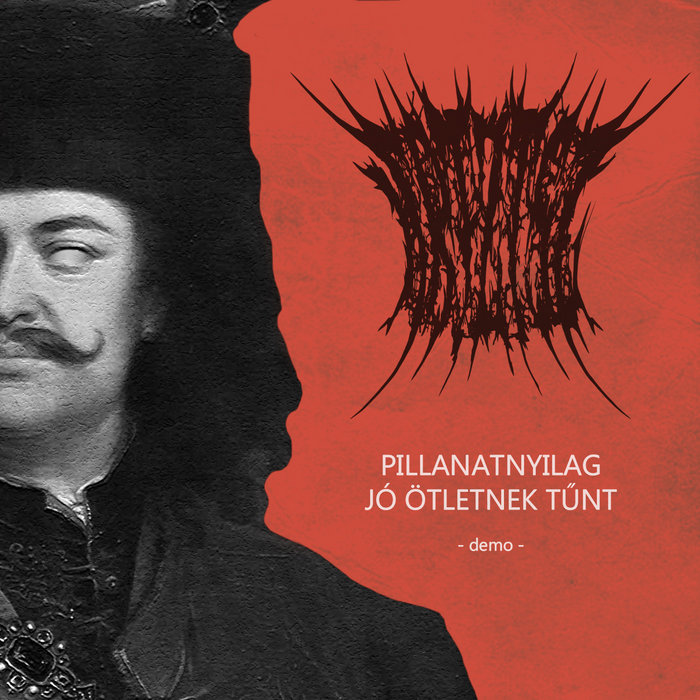 Pillanatnyilag jó ötletnek tűnt - demo, by II.Rákóczi Ferenc Zenei Termelőszövetkezet