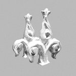 Igaxx - MS