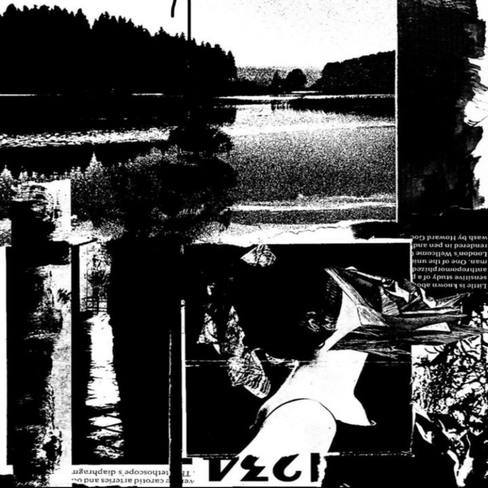 Your Flowers Never Bloom Stalk Market Outsider Industries