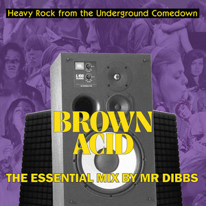 Brown Acid "The Essential Mix" by Mr. Dibbs cover
