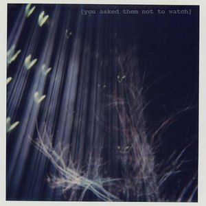 Skin The Fool cover