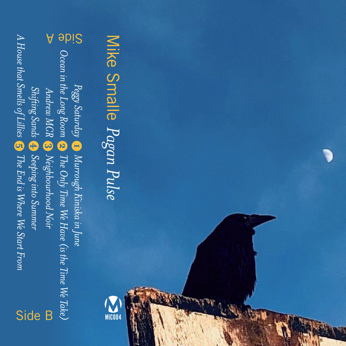 Pagan Pulse cover
