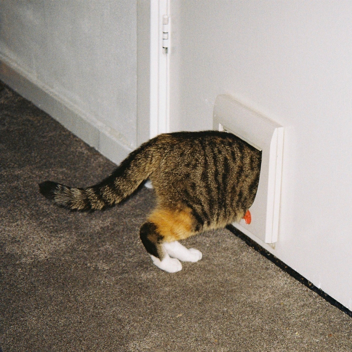 Kieff 2018 Yr Monkey EP VBR