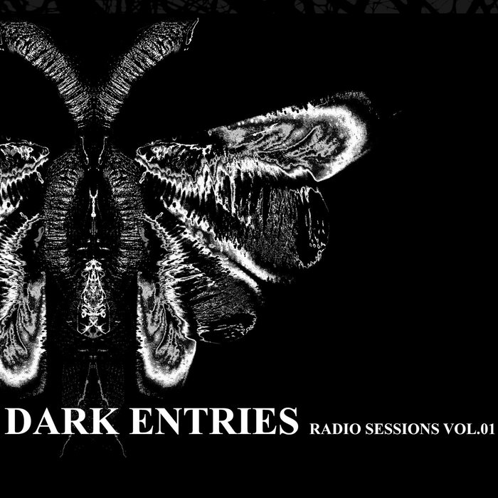 Dark Entries R.S. Vol.01 AAVV SwissDarkNights Label
